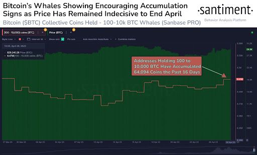 btc_whales_diagram.jpeg